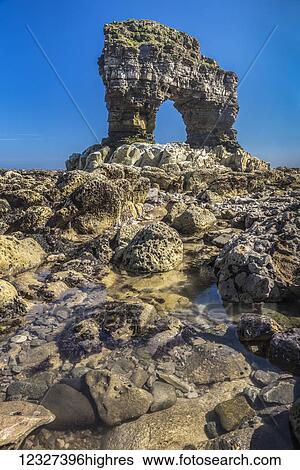 Stock Photograph - Rock arch on rocky coastline in North East England; Whitburn, Tyne and Wear, England. Fotosearch