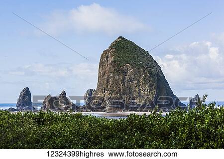 Rock formations off Bandon Beach; Bandon, Oregon, United States of America View Large Photo Image Stock Photograph - Rock formations off Bandon Beach; Bandon, Oregon, United States of America. Fotosearch
