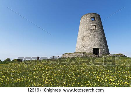 Round tower with a field of yellow wildflowers in the foreground; South Shields, Tyne and Wear, England View Large Photo Image Stock Photograph - Round tower with a field of yellow wildflowers in the foreground; South Shields, Tyne and Wear, England. Fotosearch