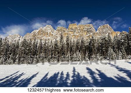 Stock Photograph - Rugged snow covered mountain with snow covered evergreen trees, shadows of evergreen trees in the foreground with blue sky and puffy clouds; Banff, Alberta, Canada. Fotosearch