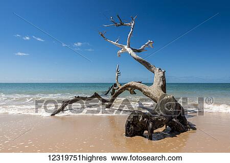 Stock Photograph - Scenic. Fotosearch