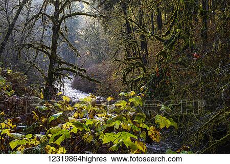 Scenic View Large Photo Image Stock Photograph - Scenic. Fotosearch
