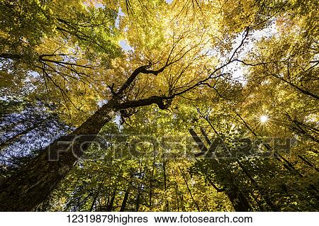 Stock Photograph - Scenic. Fotosearch
