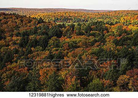 Stock Photograph - Scenic. Fotosearch