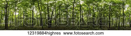 Stock Photograph - Scenic. Fotosearch