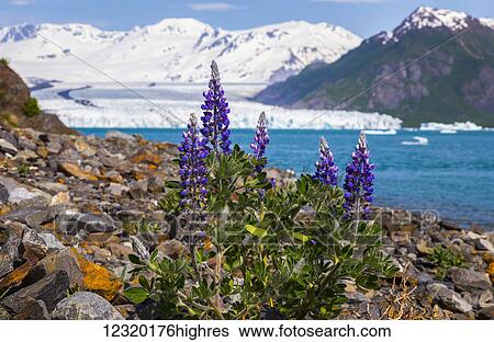 Stock Photograph - Scenic. Fotosearch