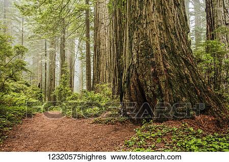Scenic View Large Photo Image Stock Photograph - Scenic. Fotosearch