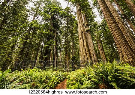 Stock Photograph - Scenic. Fotosearch