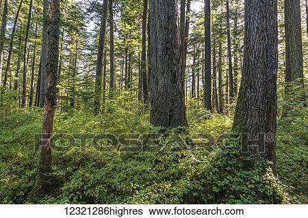 Scenic View Large Photo Image Stock Photograph - Scenic. Fotosearch
