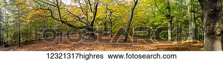 Scenic View Large Photo Image Stock Photograph - Scenic. Fotosearch