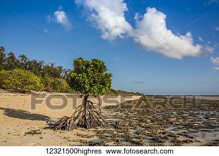 Scenic View Large Photo Image Stock Photograph - Scenic. Fotosearch
