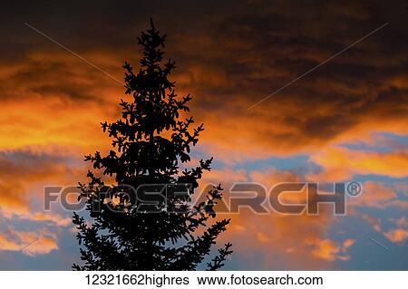 Stock Photograph - Scenic. Fotosearch