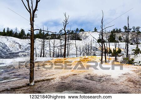 Stock Photograph - Scenic. Fotosearch