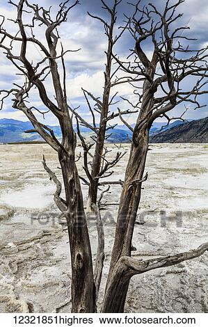 Stock Photograph - Scenic. Fotosearch