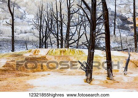Scenic View Large Photo Image Stock Photograph - Scenic. Fotosearch
