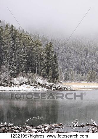 Stock Photograph - Scenic. Fotosearch