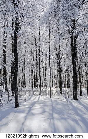 Stock Photograph - Scenic. Fotosearch