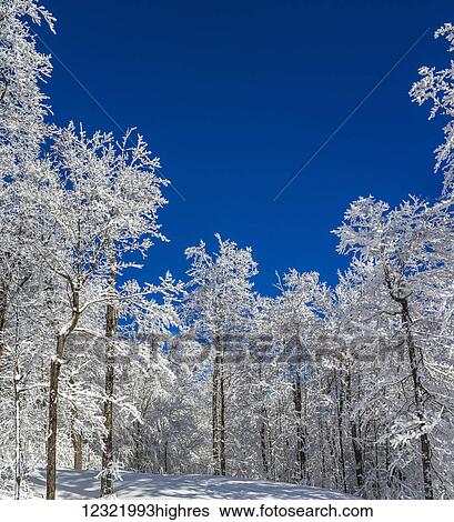 Scenic View Large Photo Image Stock Photograph - Scenic. Fotosearch