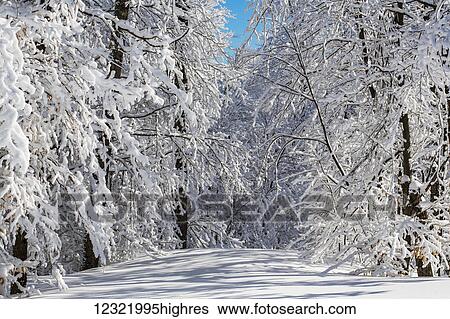 Scenic View Large Photo Image Stock Photograph - Scenic. Fotosearch