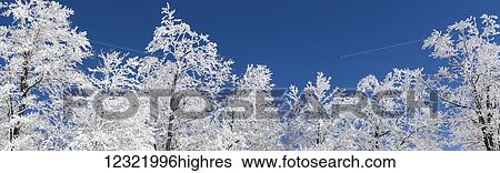 Stock Photograph - Scenic. Fotosearch