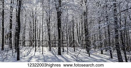 Scenic View Large Photo Image Stock Photograph - Scenic. Fotosearch