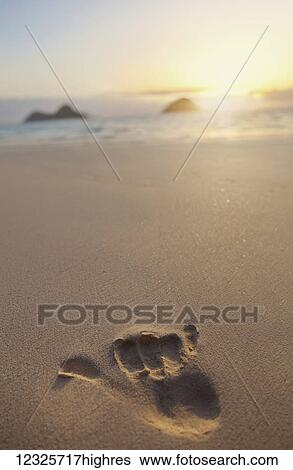 Shaka hand print in the sand with a view of Mokulua twin islands and the ocean at sunset in the distance; Honolulu, Oahu, Hawaii, United States of America View Large Photo Image Stock Photograph - Shaka hand print in the sand with a view of Mokulua twin islands and the ocean at sunset in the distance; Honolulu, Oahu, Hawaii, United States of America. Fotosearch