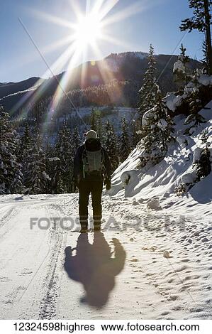 Stock Photograph - Silhouette of a female walking along a snow covered road with snow covered evergreen trees, shadow of the walker and sun burst with blue sky; Invermere, British Columbia, Canada. Fotosearch