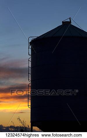 Stock Photograph - Silhouette of large metal grain bin with colourful clouds at sunset with blue sky; Alberta, Canada. Fotosearch