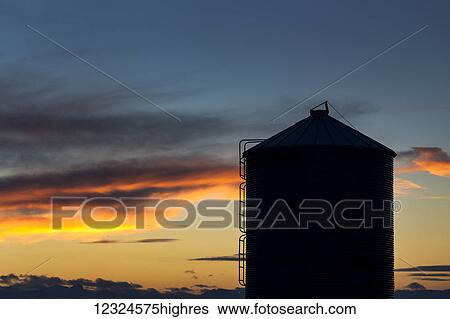 Stock Photograph - Silhouette of large metal grain bin with colourful clouds at sunset with blue sky; Alberta, Canada. Fotosearch