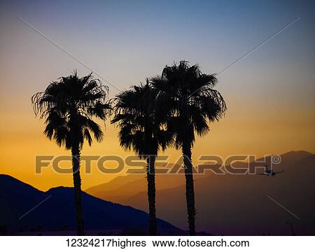 Stock Photograph - Silhouette of three palm trees and a plane in flight against layers of silhouetted mountains at sunset; Palm Springs, California, United States of America. Fotosearch