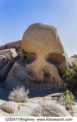 Skull rock, a rock formation in Joshua Tree National Park; California, United States of America View Large Photo Image Stock Photograph - Skull rock, a rock formation in Joshua Tree National Park; California, United States of America. Fotosearch