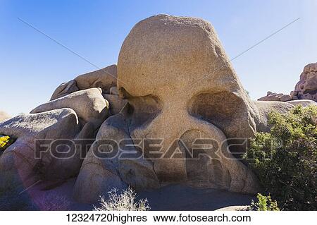 Stock Photograph - Skull rock, a rock formation in Joshua Tree National Park; California, United States of America. Fotosearch