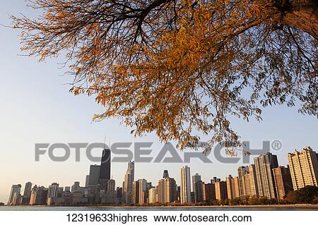 Stock Photograph - Skyline of Chicago with a tree in the foreground in autumn colours; Chicago, Illinois, United States of America. Fotosearch