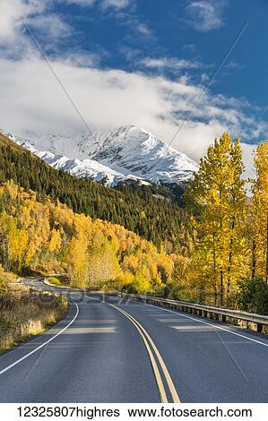 Stock Photograph - Snow-capped Kenai Mountains dwarf the Seward highway, trees covered in yellow leaves in autumn line the road, South-central Alaska; Seward, Alaska, United States of America. Fotosearch