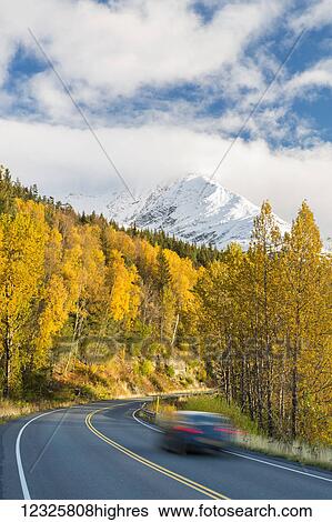 Stock Photograph - Snow-capped Kenai Mountains dwarf the Seward highway, trees covered in yellow leaves in autumn line the road, South-central Alaska; Seward, Alaska, United States of America. Fotosearch