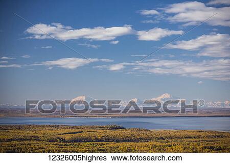 Stock Photograph - Snow covered Mount Denali and Foraker, as seen from Joint Base Elmendorf Richardson, with autumn coloured trees and Cook Inlet filling the foreground, South-central Alaska; Anchorage, Alaska, United States of America. Fotosearch