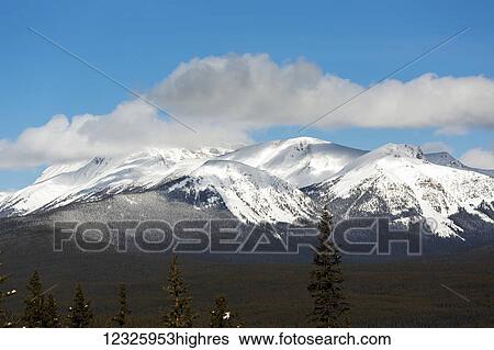 Stock Photograph - Snow covered mountains, blue sky and clouds with valley forest in the foreground; Lake Louise, Alberta, Canada. Fotosearch