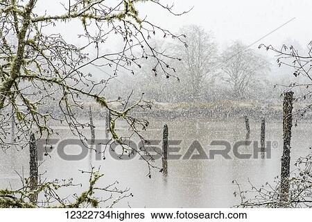 Snow falls along the Lewis and Clark River; Oregon, United States of America View Large Photo Image Stock Photograph - Snow falls along the Lewis and Clark River; Oregon, United States of America. Fotosearch
