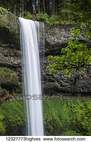 Stock Photograph - South Falls is the most popular waterfall at Silver Falls State Park; Silverton, Oregon, United States of America. Fotosearch