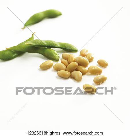 Stock Photograph - Soy beans and edamame on a white background. Fotosearch