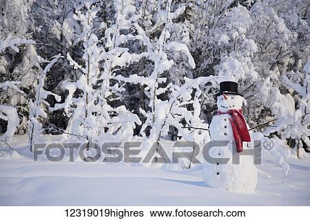 Stock Photograph - Special Occasions. Fotosearch