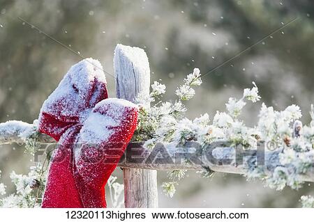 Stock Photograph - Special Occasions. Fotosearch