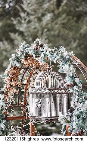 Stock Photograph - Special Occasions. Fotosearch