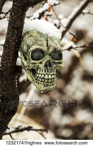 Special Occasions View Large Photo Image Stock Photograph - Special Occasions. Fotosearch