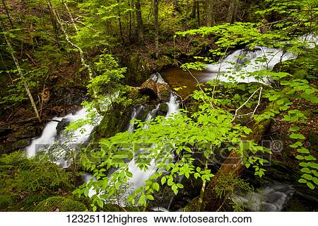 Spring waterfalls on Horse Pasture Brook; Wentworth Valley, Nova Scotia, Canada View Large Photo Image Stock Photograph - Spring waterfalls on Horse Pasture Brook; Wentworth Valley, Nova Scotia, Canada. Fotosearch
