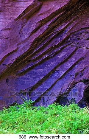 Stock Photograph - Striated rock face with green plants below. Fotosearch