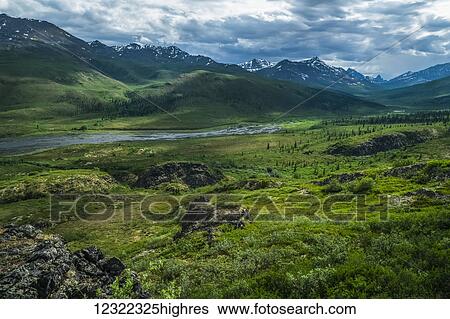 Summer along the Dempster Highway in the Klondike Valley; Yukon, Canada View Large Photo Image Stock Photograph - Summer along the Dempster Highway in the Klondike Valley; Yukon, Canada. Fotosearch