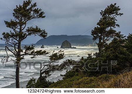 Sunlight breaks through the storm on the Oregon Coast; Cannon Beach, Oregon, United States of America View Large Photo Image Stock Photograph - Sunlight breaks through the storm on the Oregon Coast; Cannon Beach, Oregon, United States of America. Fotosearch