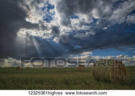 Stock Photograph - Sunlight breaks through the storm clouds over a field of hay bales; Saskatchewan, Canada. Fotosearch