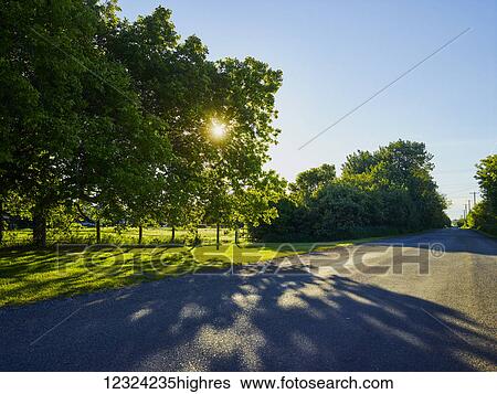 Sunlight shining through the trees along a paved road; Alberta, Canada View Large Photo Image Stock Photograph - Sunlight shining through the trees along a paved road; Alberta, Canada. Fotosearch